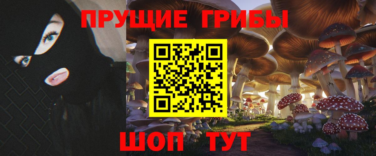 Спасск-Дальний  Галлюциногенные грибы мицелий  Вход с VPN 
