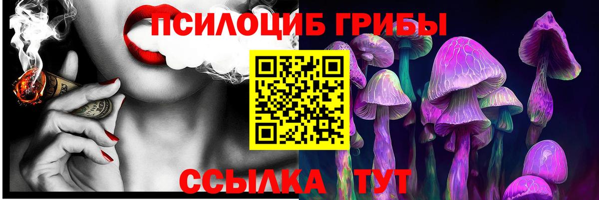 Галлюциногенные грибы GOLDEN TEACHER Спасск-Дальний